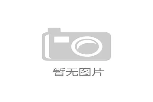 伊朗世界杯征程全面解析