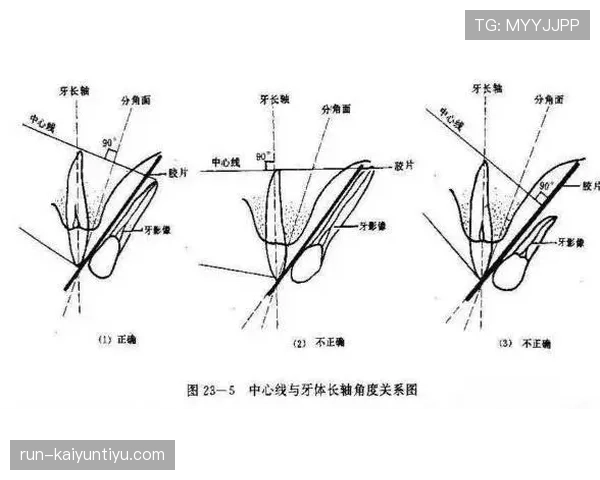 门线技术判罚标准详解及其对关键进球判定的影响 门线技术判罚标准详解及其对关键进球判定的影响